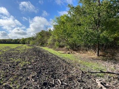 Great Farmland, Homesite, Rural Living, Blank Canvas,Hunting - image 10