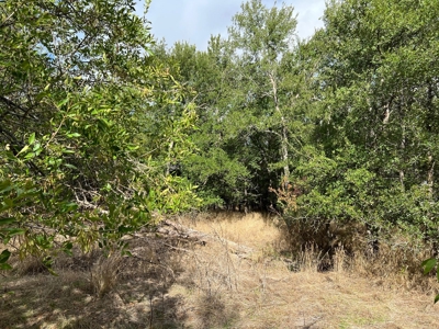 Great Farmland, Homesite, Rural Living, Blank Canvas,Hunting - image 18