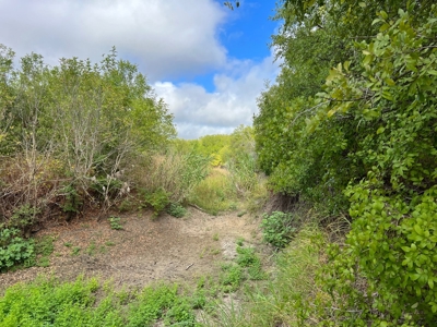 Great Farmland, Homesite, Rural Living, Blank Canvas,Hunting - image 16
