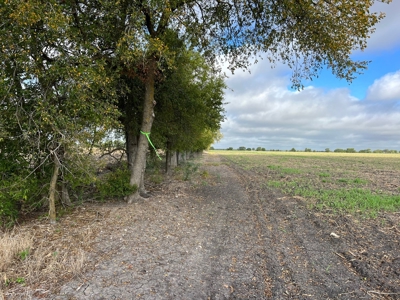 Great Farmland, Homesite, Rural Living, Blank Canvas,Hunting - image 2