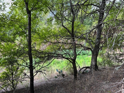 Great Farmland, Homesite, Rural Living, Blank Canvas,Hunting - image 14