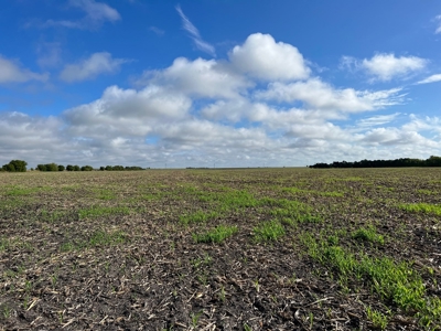 Great Farmland, Homesite, Rural Living, Blank Canvas,Hunting - image 7