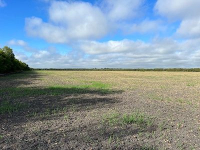 Great Farmland, Homesite, Rural Living, Blank Canvas,Hunting - image 3