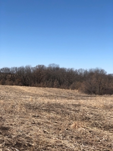 80 Acres For Sale Hamilton Mo - image 7