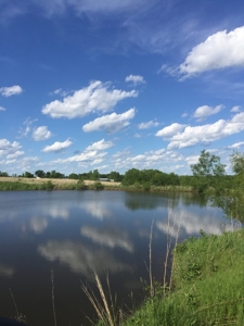 80 Acres For Sale Hamilton Mo - image 8