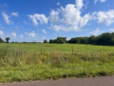 80 Acres For Sale Hamilton Mo - image 1