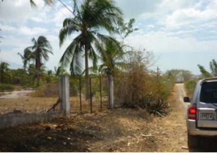 Lot for sale in Playa Gorgona STG - image 1