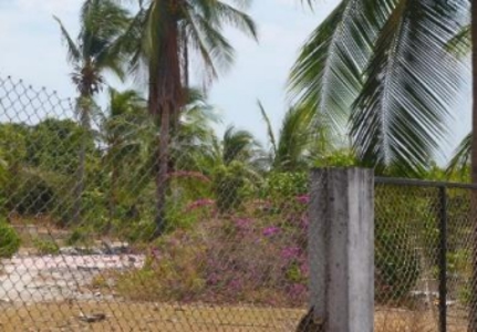 Lot for sale in Playa Gorgona STG - image 3