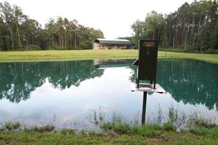 Turnkey Hunting Land for Sale Wilkinson County MS - image 9