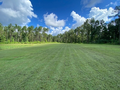 Turnkey Hunting Land for Sale Wilkinson County MS - image 29