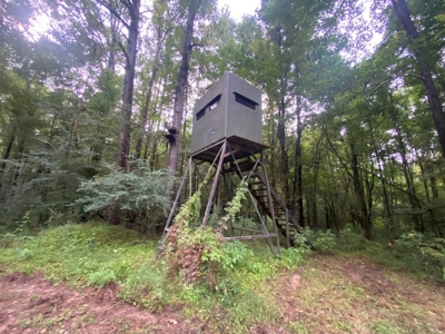 Turnkey Hunting Land for Sale Wilkinson County MS - image 42