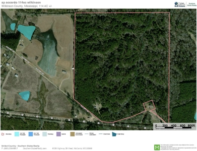 Turnkey Hunting Land for Sale Wilkinson County MS - image 48