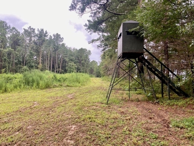 Turnkey Hunting Land for Sale Wilkinson County MS - image 34