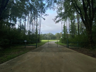 Turnkey Hunting Land for Sale Wilkinson County MS - image 43