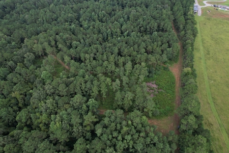 Turnkey Hunting Land for Sale Wilkinson County MS - image 4