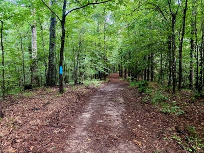 Turnkey Hunting Land for Sale Wilkinson County MS - image 39