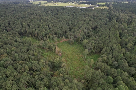 Turnkey Hunting Land for Sale Wilkinson County MS - image 2