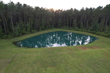 Turnkey Hunting Land for Sale Wilkinson County MS - image 11