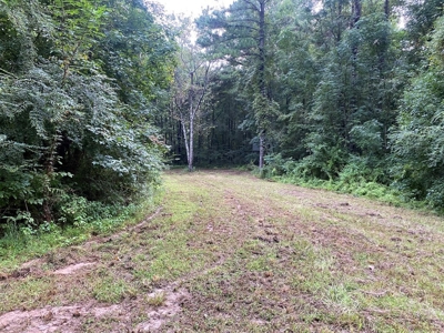 Turnkey Hunting Land for Sale Wilkinson County MS - image 41