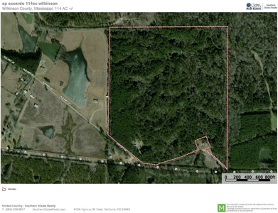 Turnkey Hunting Land for Sale Wilkinson County MS - image 47