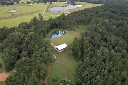 Turnkey Hunting Land for Sale Wilkinson County MS - image 5