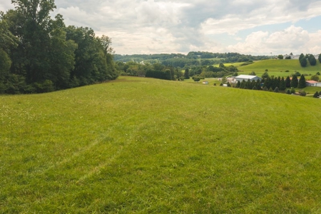 Land for Sale in Hillsville VA! - image 6