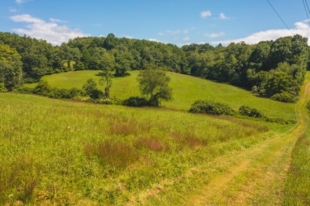 Commercial Property for Sale in Hillsville VA - image 1
