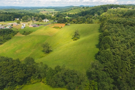Carroll County VA Land for Sale - image 1