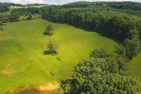 Carroll County VA Land for Sale - image 2