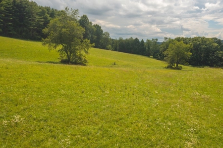 Carroll County VA Land for Sale - image 8