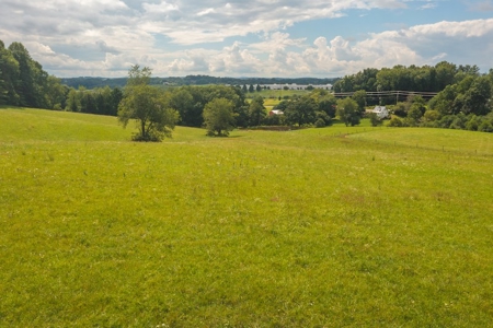 Carroll County VA Land for Sale - image 5