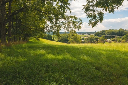 Carroll County VA Land for Sale - image 3