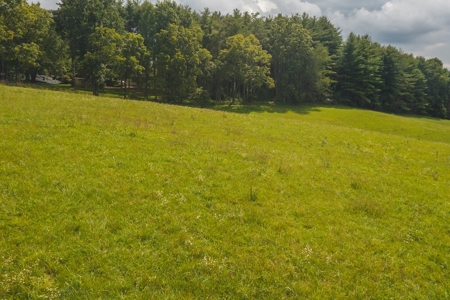 Carroll County VA Land for Sale - image 7