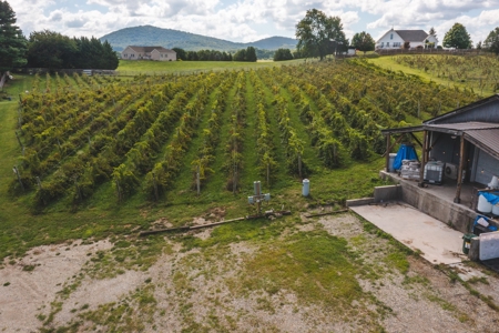 Whitebarrel Winery for Sale Near Christiansburg VA - image 2