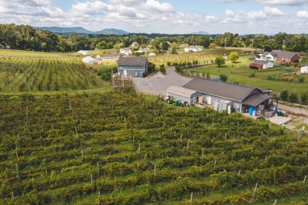 Whitebarrel Winery for Sale Near Christiansburg VA - image 3