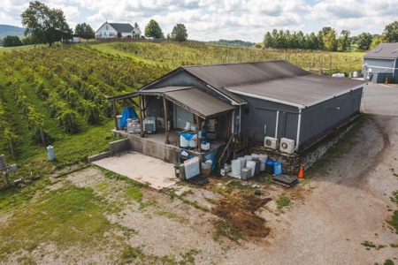 Whitebarrel Winery for Sale Near Christiansburg VA - image 28