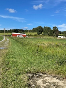 Country Home and Farm for Sale in Floyd County VA - image 11
