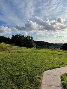 Country Home and Farm for Sale in Floyd County VA - image 46