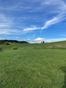 Country Home and Farm for Sale in Floyd County VA - image 21