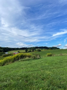 Country Home and Farm for Sale in Floyd County VA - image 23