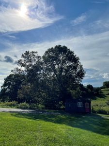 Country Home and Farm for Sale in Floyd County VA - image 16