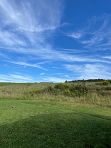 Country Home and Farm for Sale in Floyd County VA - image 22