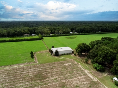 Looking To Create A Nursery Or Maybe A Grape Farm? - image 38
