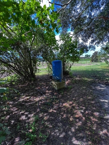 Looking To Create A Nursery Or Maybe A Grape Farm? - image 6
