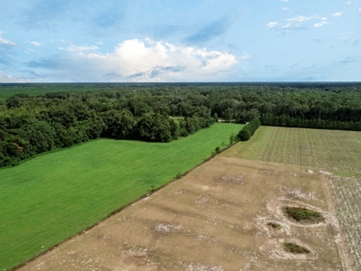Looking To Create A Nursery Or Maybe A Grape Farm? - image 37