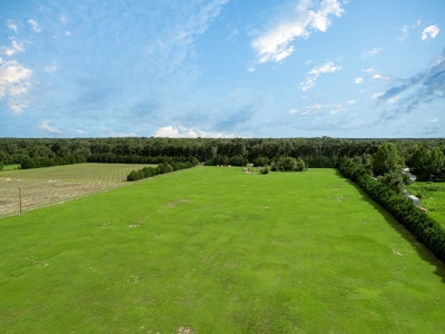 Looking To Create A Nursery Or Maybe A Grape Farm? - image 35