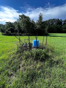 Looking To Create A Nursery Or Maybe A Grape Farm? - image 10