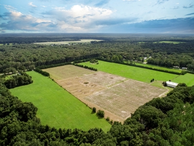 Looking To Create A Nursery Or Maybe A Grape Farm? - image 1