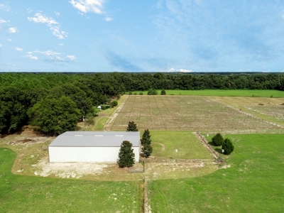 Looking To Create A Nursery Or Maybe A Grape Farm? - image 16