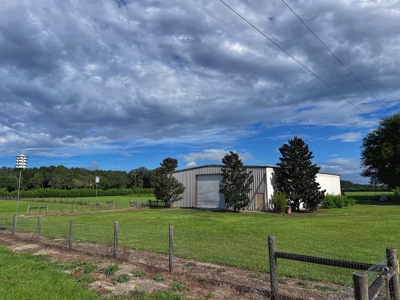 Looking To Create A Nursery Or Maybe A Grape Farm? - image 25